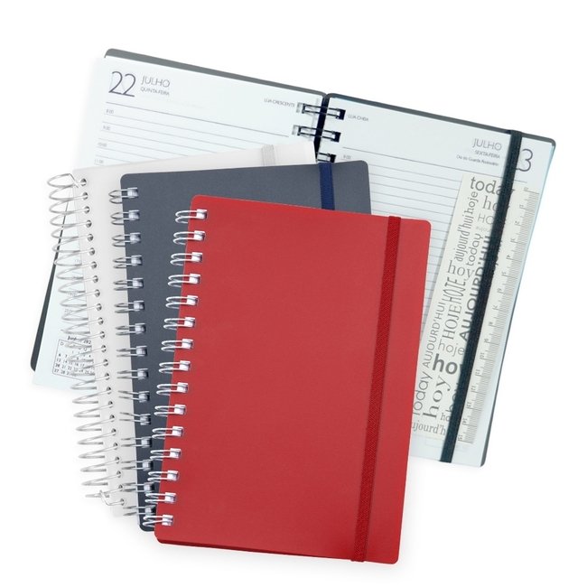 Agenda-Diaria-2024-CONJUNTO